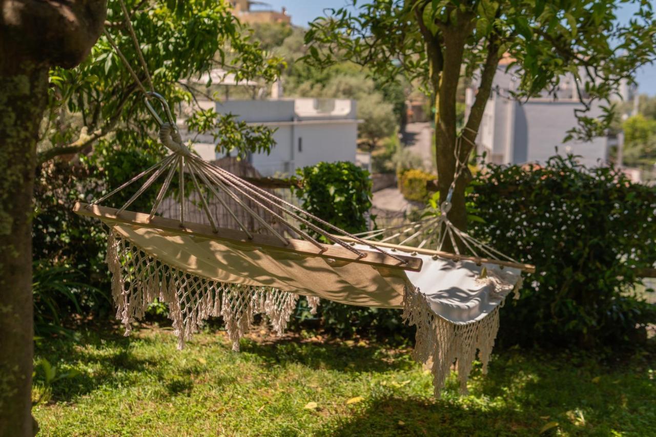 Villa Carolina Sorrento Private Heated Pool And Sea View المظهر الخارجي الصورة