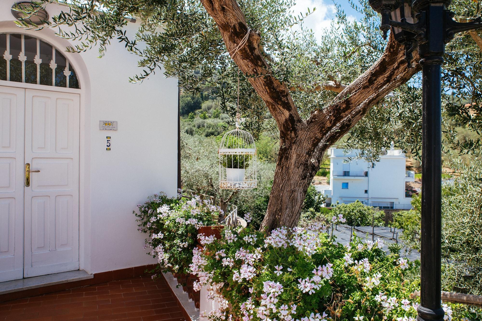 Villa Carolina Sorrento Private Heated Pool And Sea View المظهر الخارجي الصورة
