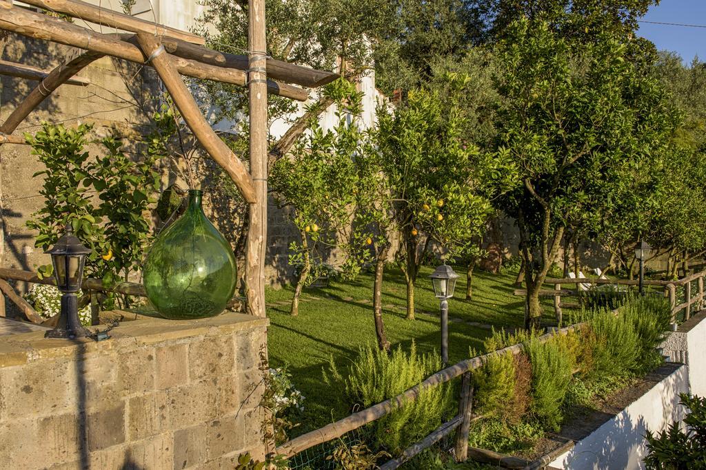 Villa Carolina Sorrento Private Heated Pool And Sea View المظهر الخارجي الصورة