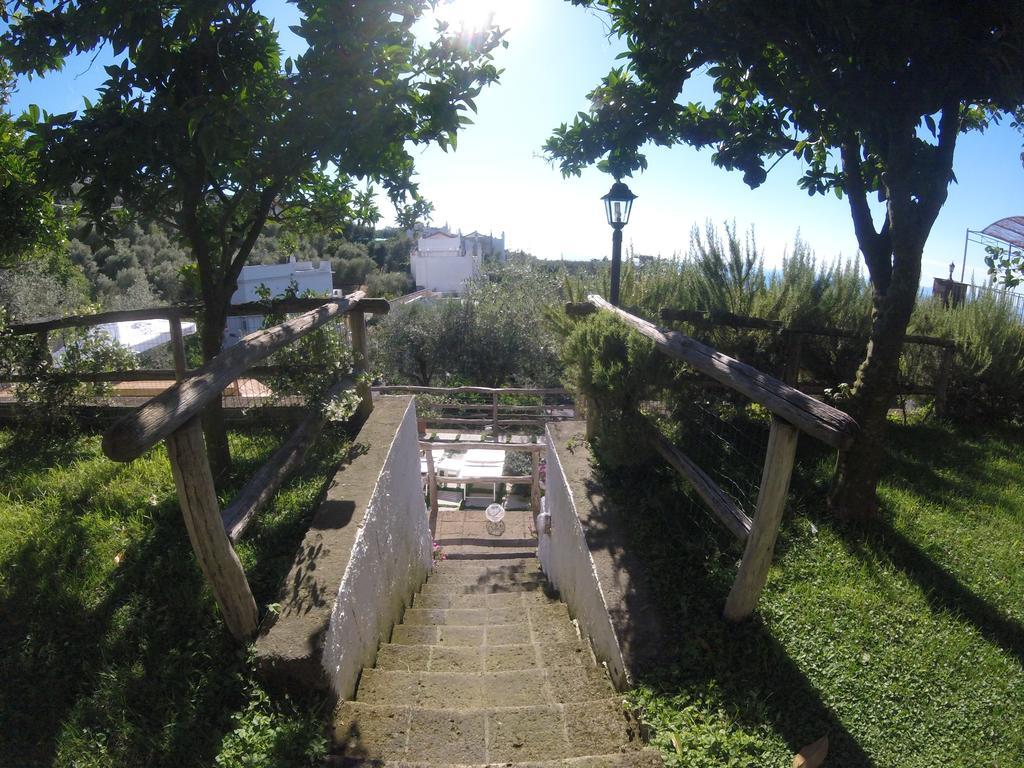 Villa Carolina Sorrento Private Heated Pool And Sea View المظهر الخارجي الصورة